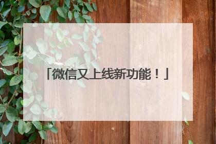 微信又上线新功能！
